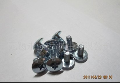 长期供应特大扁头机螺钉