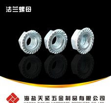 销售DIN6923法兰螺母 M16 带齿法兰