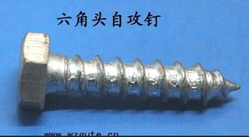 厂家直销 专业生产 各种六角头自攻螺钉GB5285