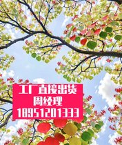 卷板电镀锌连续自动化-线上阴极电解槽电池全-固态电