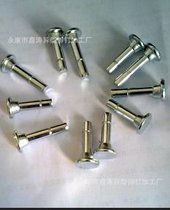 厂家专业生产各种台阶半空心异型铆钉,双头半空心铆钉