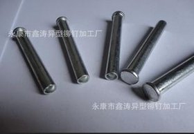 供应铆钉 半空心铆钉 平头铆钉 大扁头空心铆钉 圆头铆钉