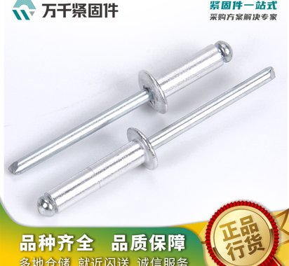 不锈钢抽芯铆钉 封闭型不锈钢拉柳钉 厂家万千紧固件