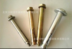 LTG-A套管膨胀螺丝 中重型锚固安装