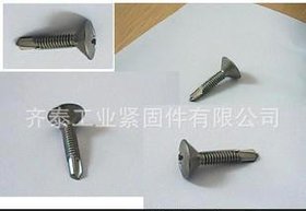 O头钻尾螺丝半沉头钻尾螺钉不锈铁大扁头钻尾螺丝大扁头自攻螺钉