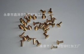 厂家批发不锈钢半空心铆钉 专业定制不锈钢半空心铆钉