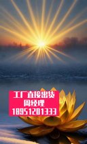 防滑板支撑脚本建筑施-工转动连接折叠梯梯子-扭簧滑
