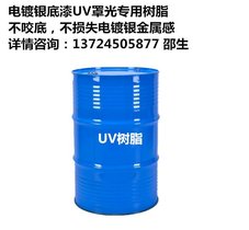 供应优质 ABS电镀银树脂