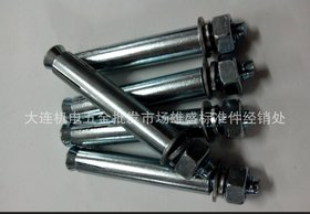 批发大连膨胀螺栓 膨胀螺丝 国标膨胀螺栓M6-M24 永年膨胀螺栓