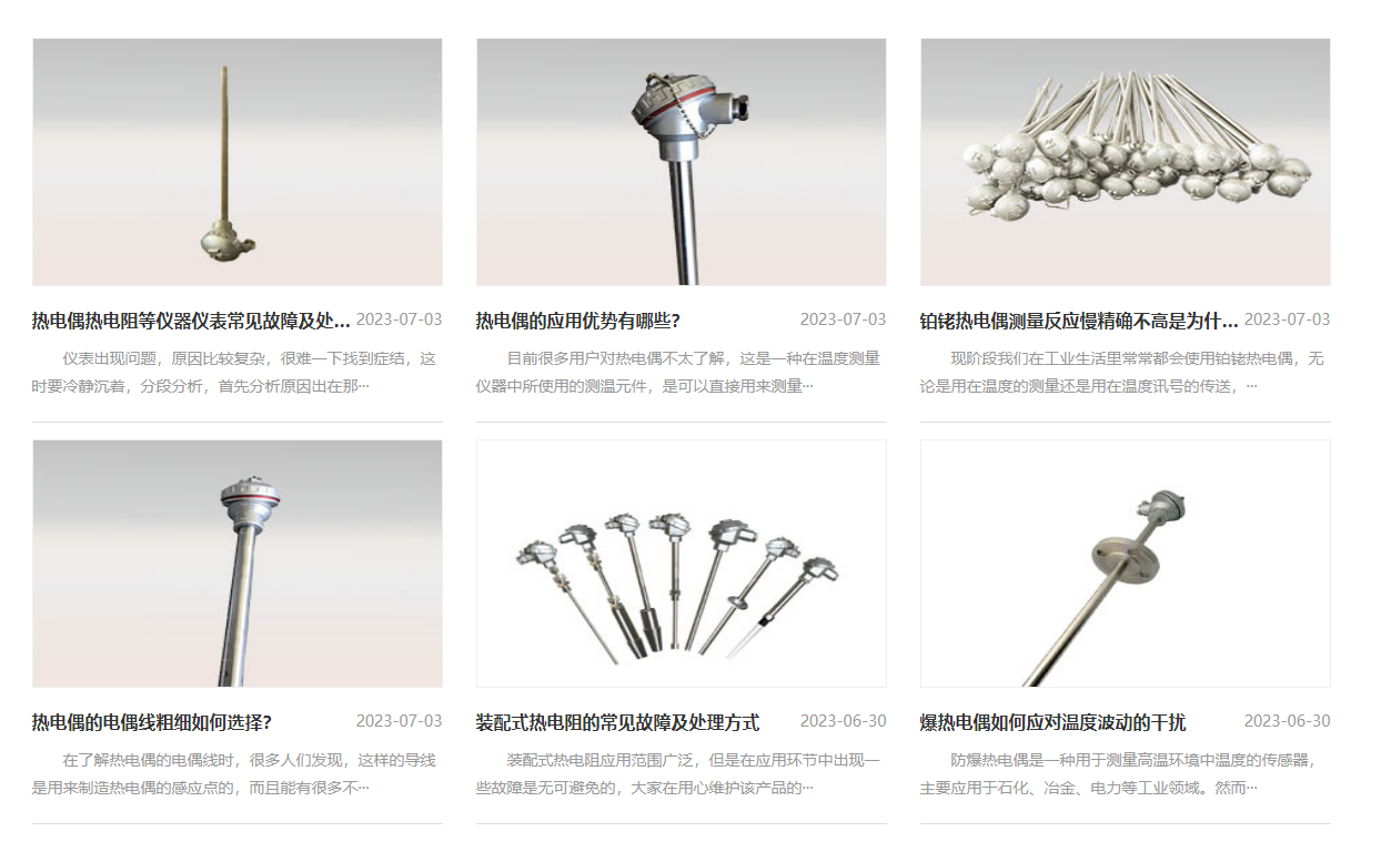 定制生产 铂铑热电偶 WRQ2-130 - 3