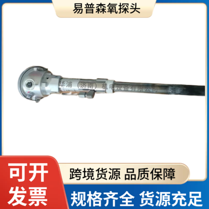 德国易普森氧探头 IP65防护 耐高温 井式炉多用炉必备