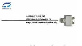 小T头式热电偶THERMOWAY