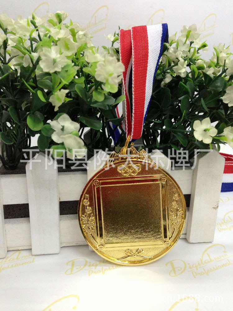 通用空白奖牌 奖牌 镀金奖牌 空白奖章 - 3
