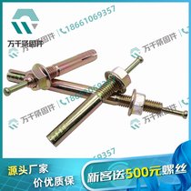 捶击式壁虎 敲打式螺丝钉 打入式膨胀拉爆螺丝 击芯膨胀螺栓