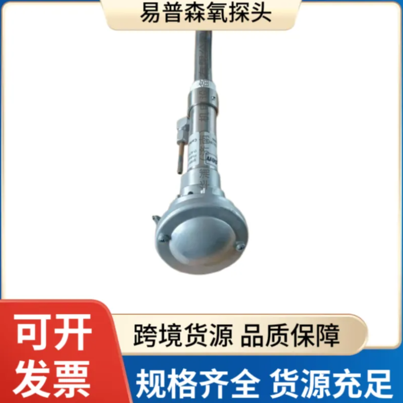 德国易普森氧探头 IP65防护 耐高温 井式炉多用炉必备 - 3