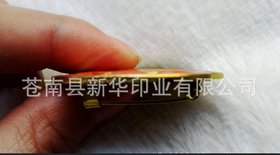定做高档金属胸牌 镀金/铐漆/压铸徽章 铜胸牌 办公徽章