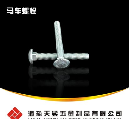 马车螺栓 马车螺丝 非标螺丝 DIN603 GB12 GB14
