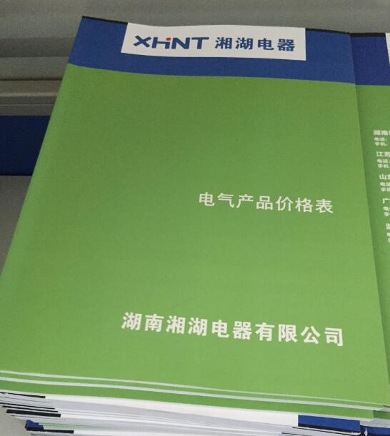 XGQ-2000型(0-300度)	温控仪表
