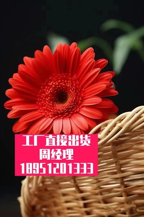 垫圈体型螺帽防滑复合-不锈钢板防滑耐磨拖鞋-避免反