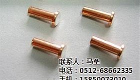德朋精密(图)_环槽铆钉_铆钉