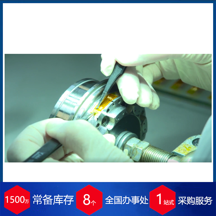 德国promicron无线温度传感器 赫尔纳供应 - 2