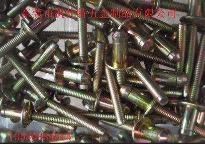 供应kseet海马乐克拉钉 钢结构铆钉批发 环槽铆钉销售