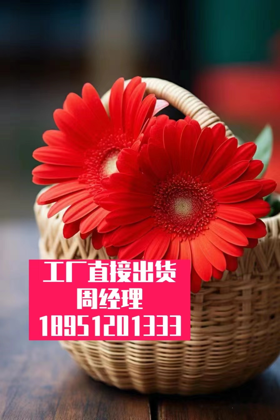 双重阀密封垫圈发声外-壳电子胎肩垫胶复合材-料不饱 - 2