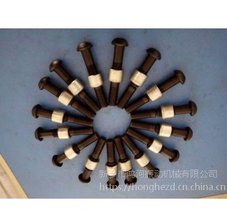 鸿河科技供应φ16和φ20环槽铆钉哈克钉铆钉