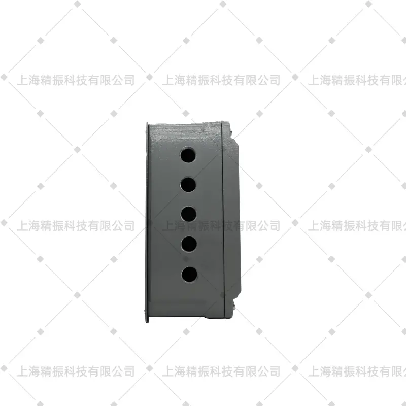 CZJ-B3G震动CZJ-B4监视CZJ-B4G显示仪表挂壁式CZJ-B3