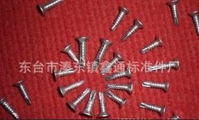 厂家供应非标机螺钉