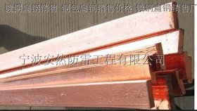 电镀铜扁钢 厂家直销 厂家价格