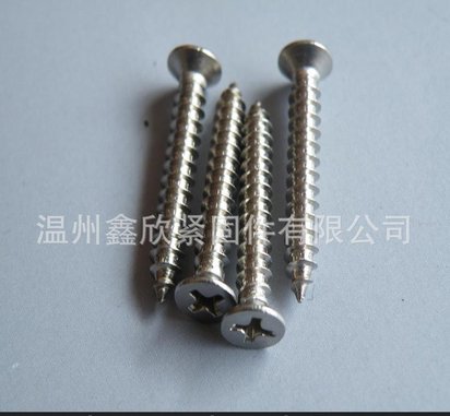 专业生产 平头自攻螺丝 不锈钢自攻螺钉 产家直销