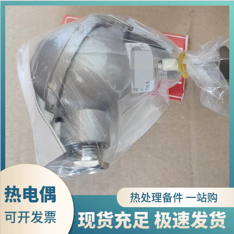 热处理炉专用东大热电偶 渗碳炉 多用炉温度实时测控 - 2