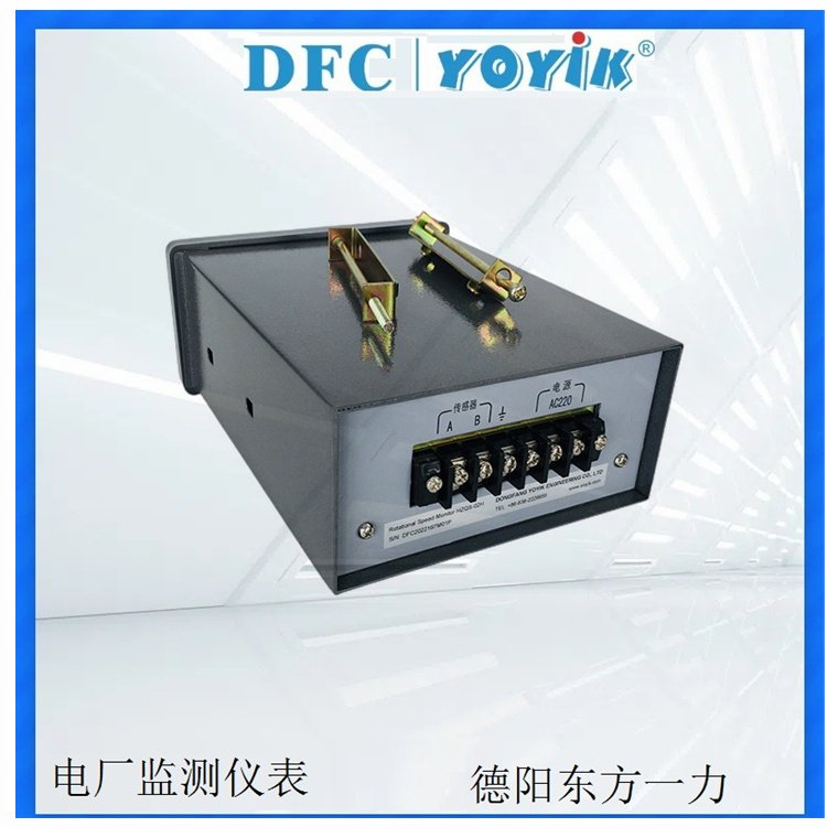 YOYIK东方一力定子冷却水电导率仪2402B 电导率分析仪表 - 2