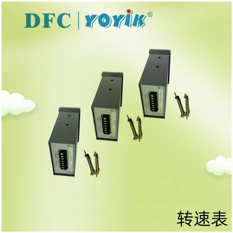 YOYIK东方一力定子冷却水电导率仪2402B 电导率分析仪表