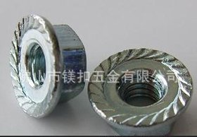 供应不锈钢法兰螺母