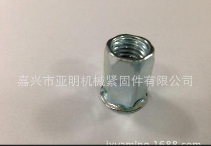 厂家生产供应 六角法兰螺母 内嵌法兰螺母