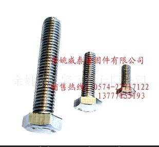专业生产不锈钢DIN933全牙六角螺栓