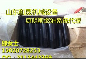 康明斯六角螺栓4965698/3818121西康系列