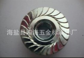 非标法兰螺母