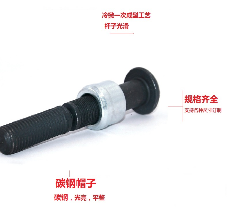 全铁环槽铆钉 哈克钉 碳钢环槽 铁环槽Ring groove rivet 10 mm - 3