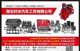 现货供应重庆康明斯平垫圈 3033627-20