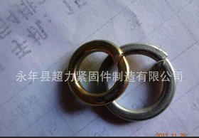 生产供应 优质镀锌弹性垫圈 镀锌弹垫 20 国标弹簧垫圈