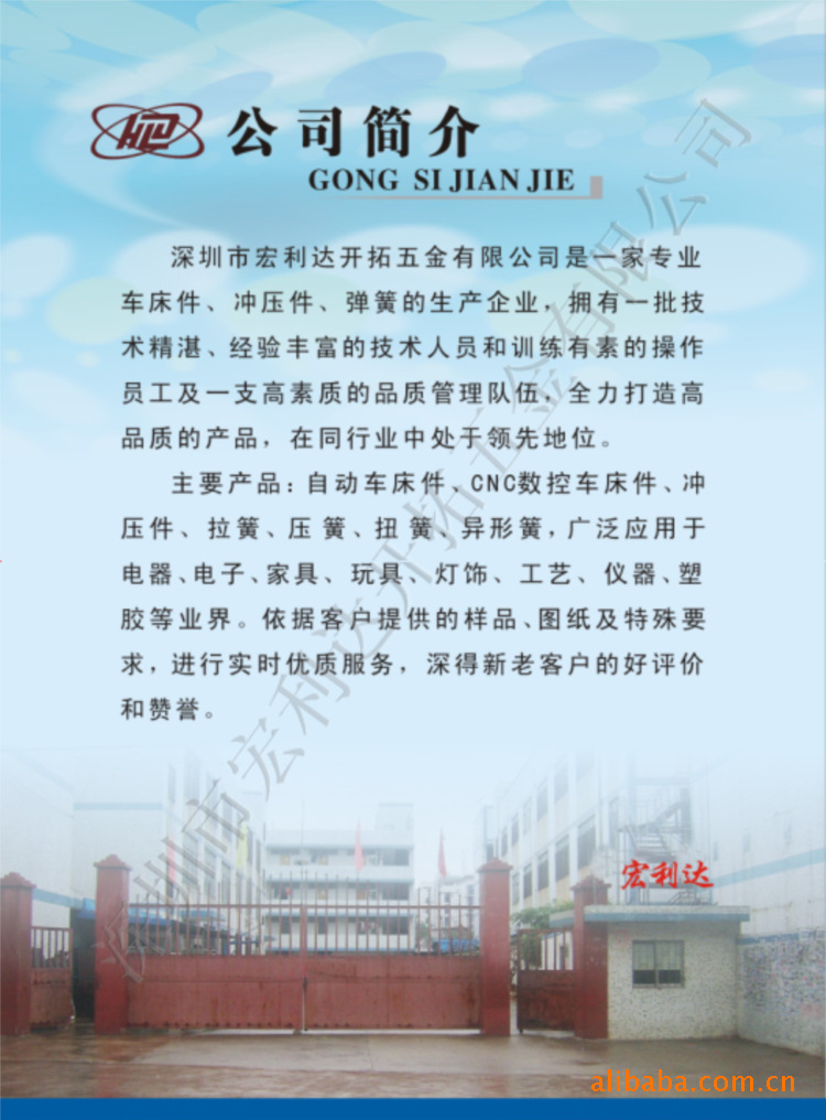 扭簧 非标扭簧 扭转弹簧 扭力弹簧 - 2