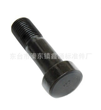 网架螺栓,钢网架螺栓,节点用高强度螺栓 - 2