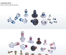 供应厂家直销汽车涂胶高强度螺栓