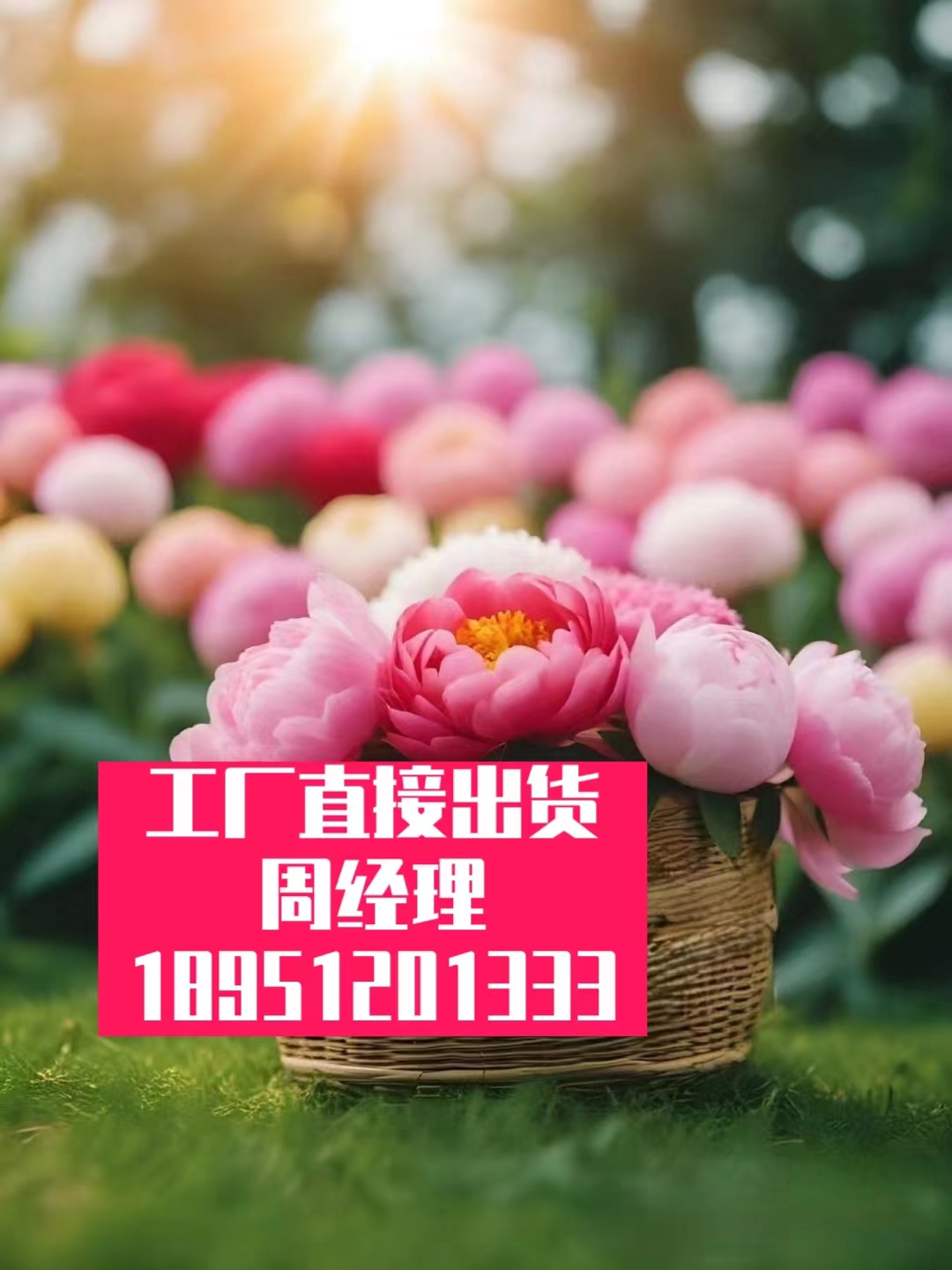 砧板位光刻丝锥-- - 4