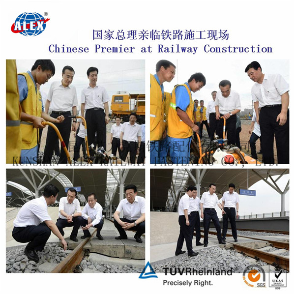 总理在铁路现场 (2)