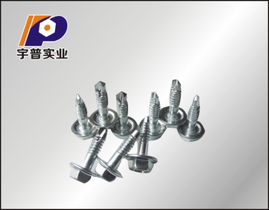 钻尾螺丝批发