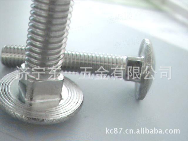 DIN603镀锌马车螺栓 - 2
